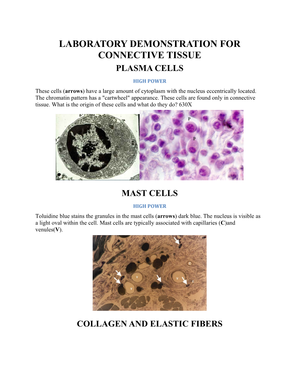 Laboratory Demonstration for Connective Tissue