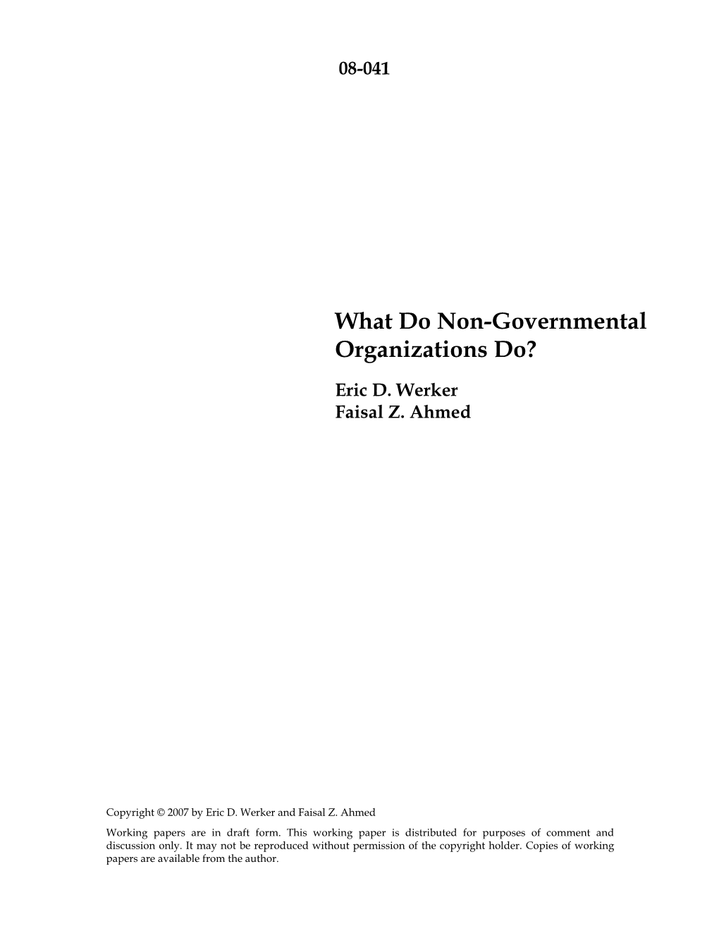 What Do Non-Governmental Organizations Do?