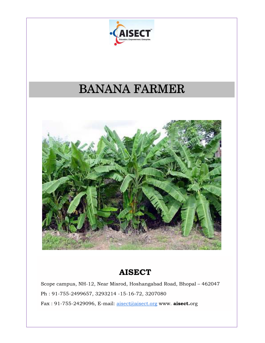 Banana Farmer