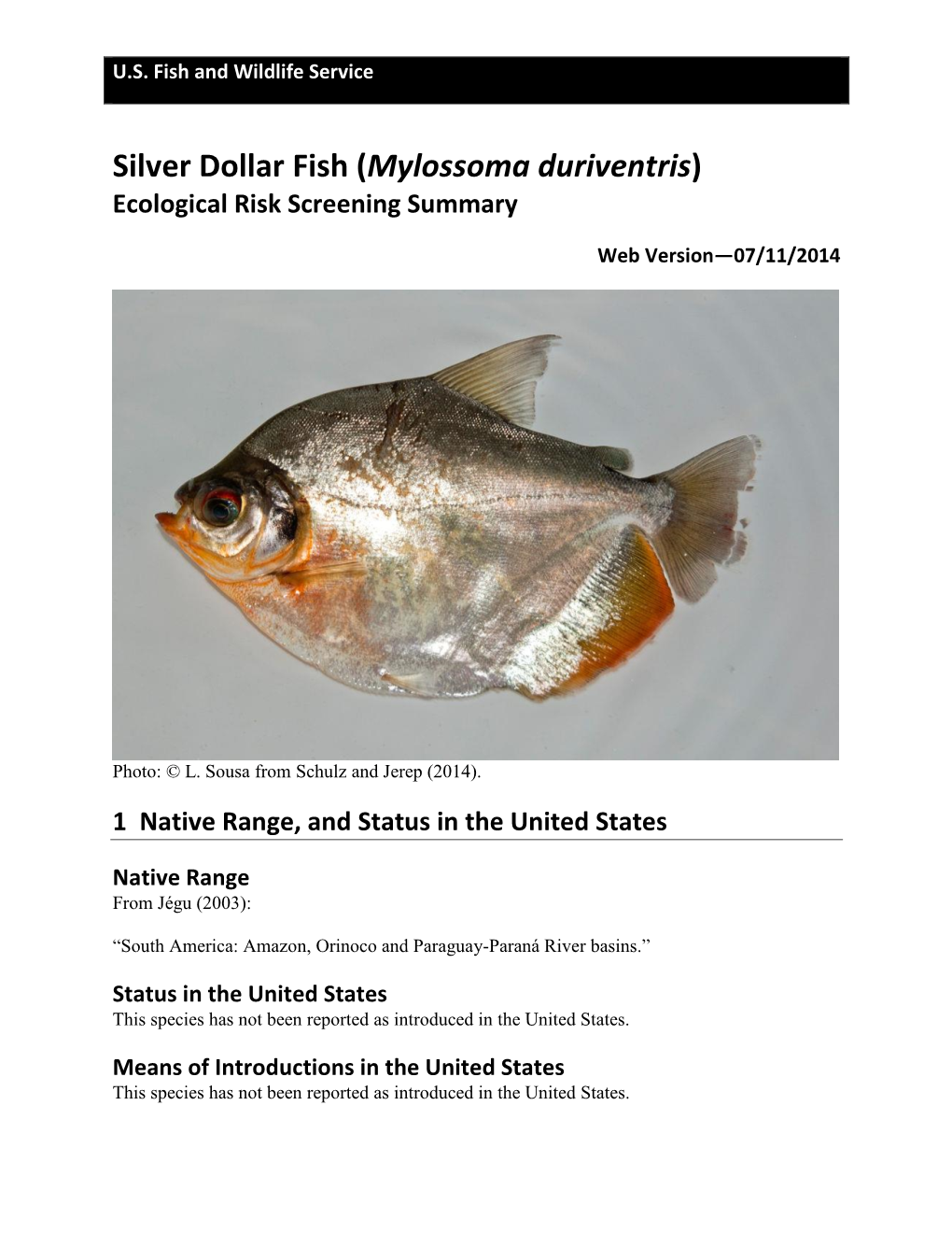 Silver Dollar Fish (Mylossoma Duriventris) Ecological Risk Screening Summary