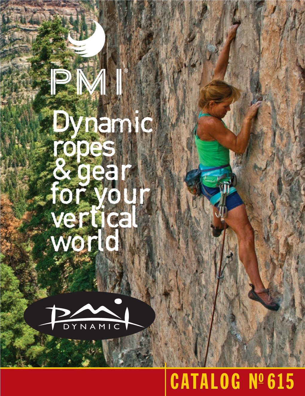 Dynamic Ropes & Gear for Your Vertical World