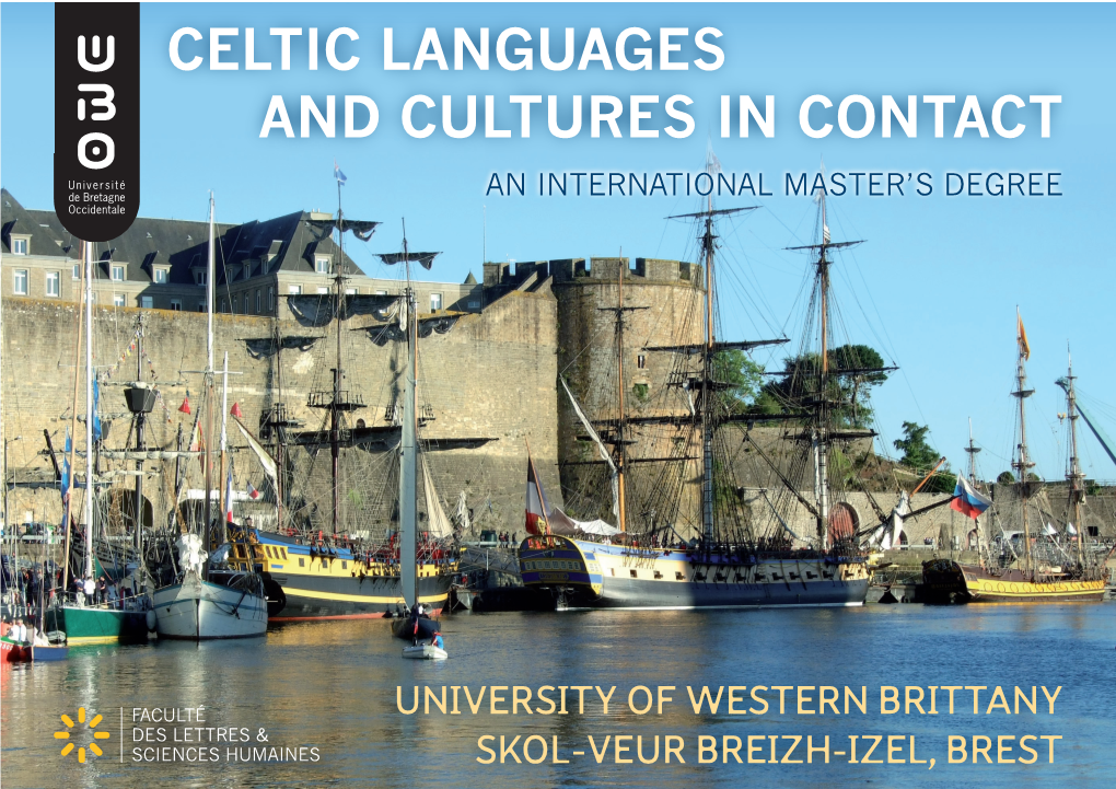 Celtic Languages and Cultures in Contact an International Master’S Degree