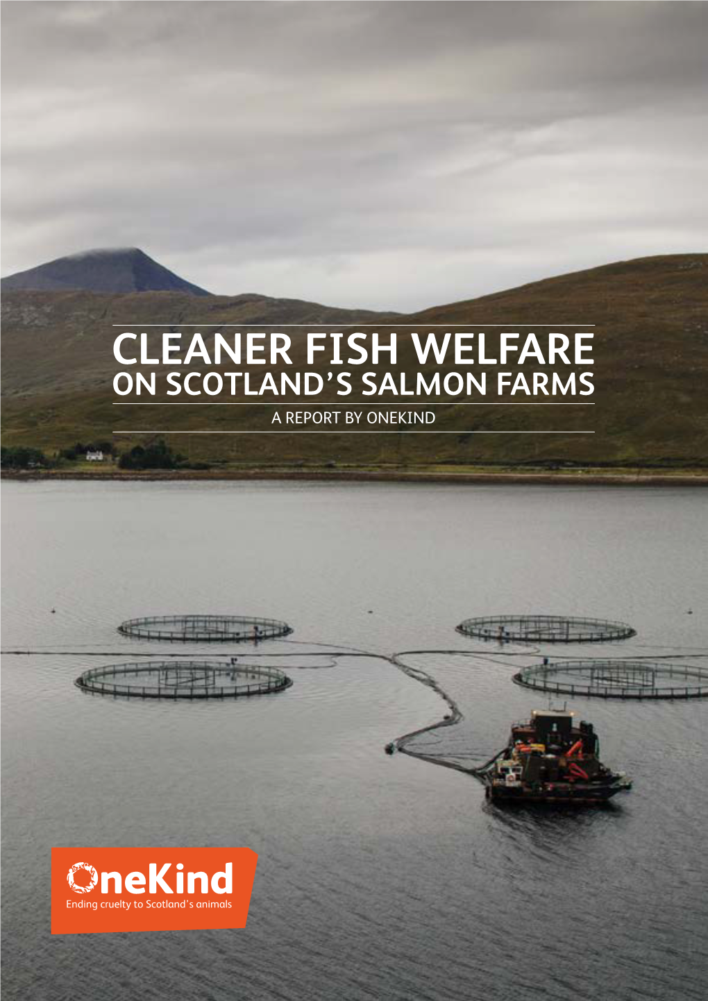 Cleaner Fish Welfare on Scotland's Salmon Farms