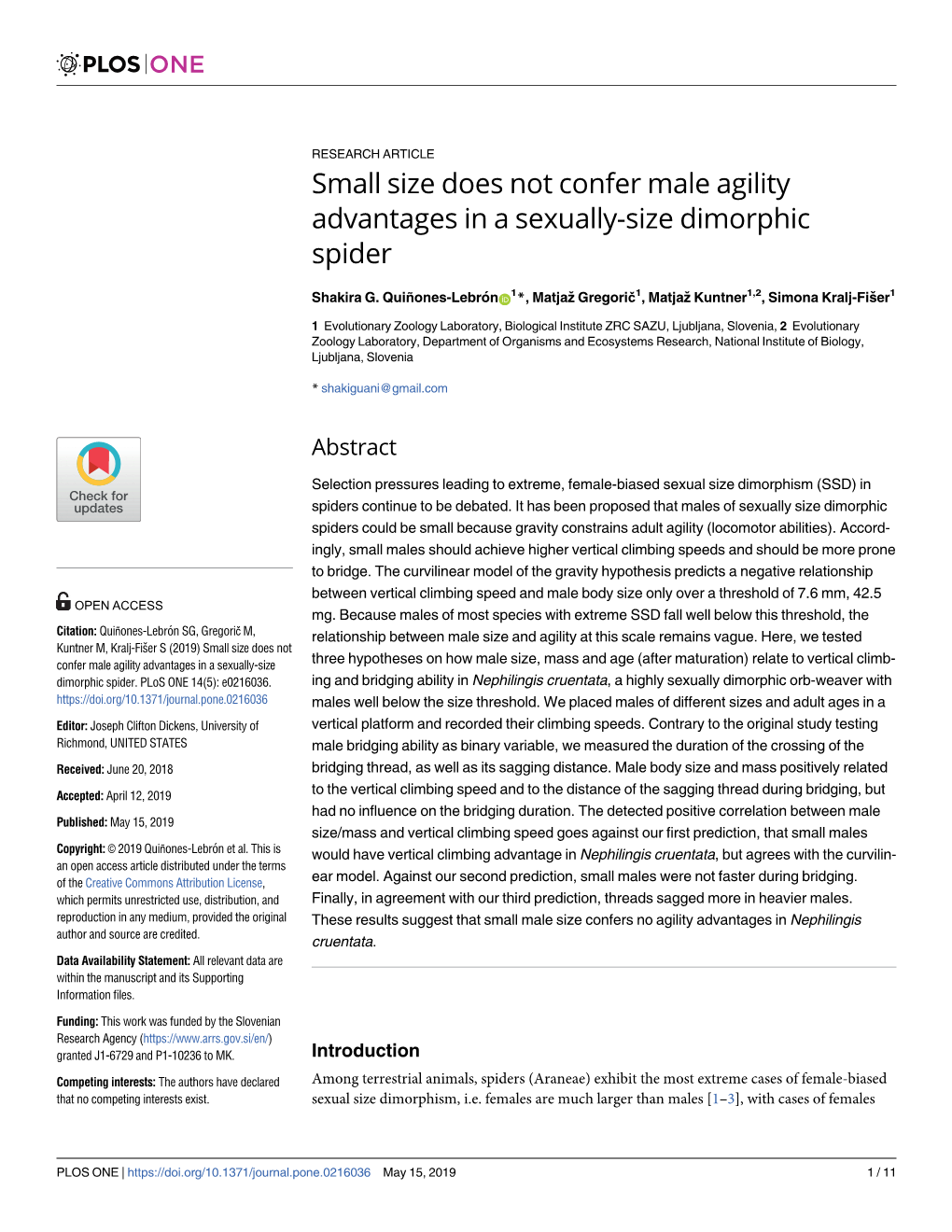 Small Size Does Not Confer Male Agility Advantages in a Sexually-Size Dimorphic Spider
