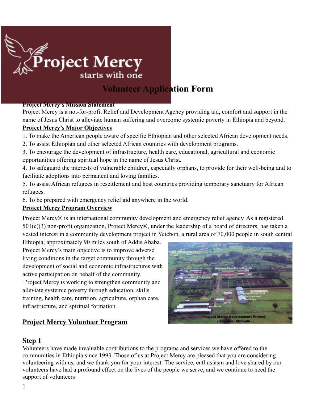 Project Mercy S Mission Statement