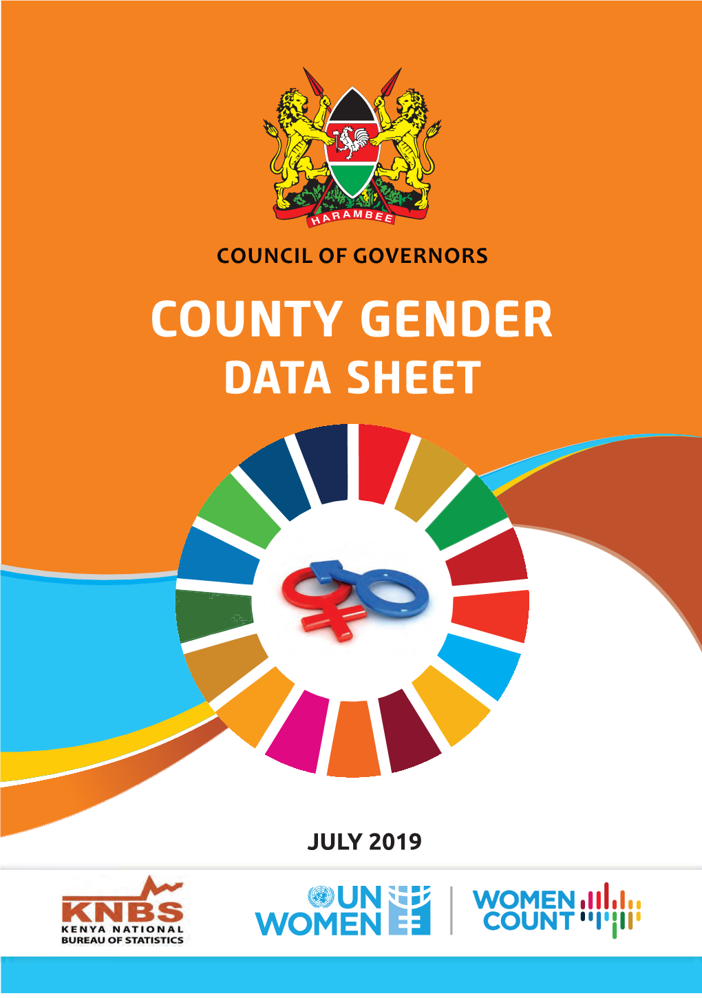 County Gender Data Sheet Summary