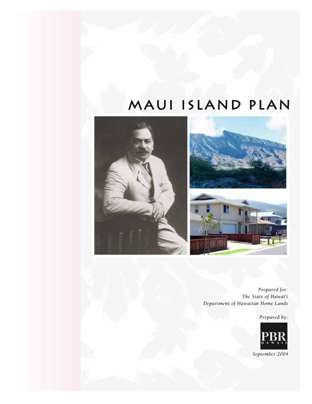 Maui Island Plan