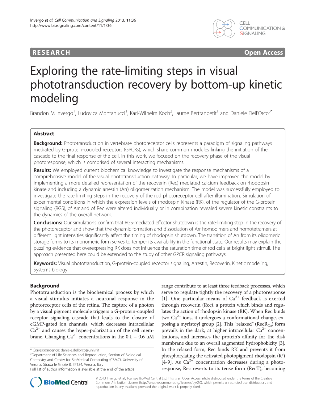 Exploring the Rate-Limiting Steps in Visual Phototransduction Recovery