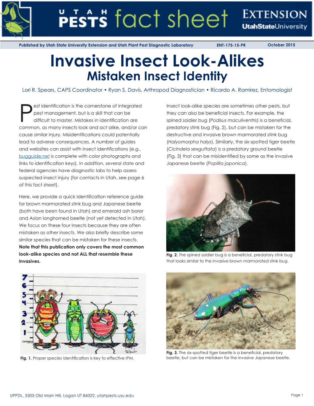 Invasive Insect Look-Alikes Mistaken Insect Identity Lori R