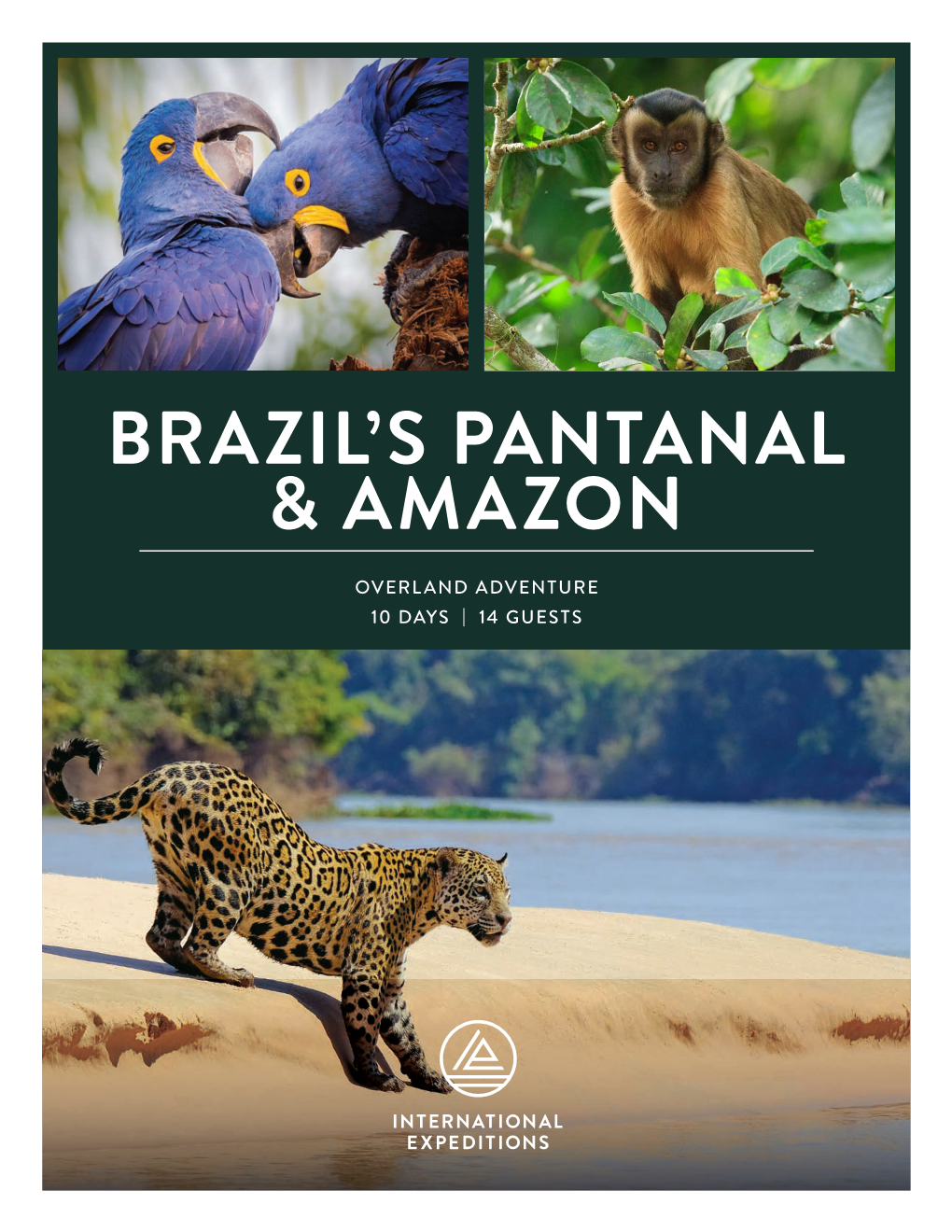 Brazil's Pantanal & Amazon