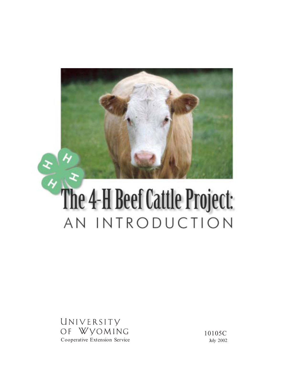The 4-H Beef Project
