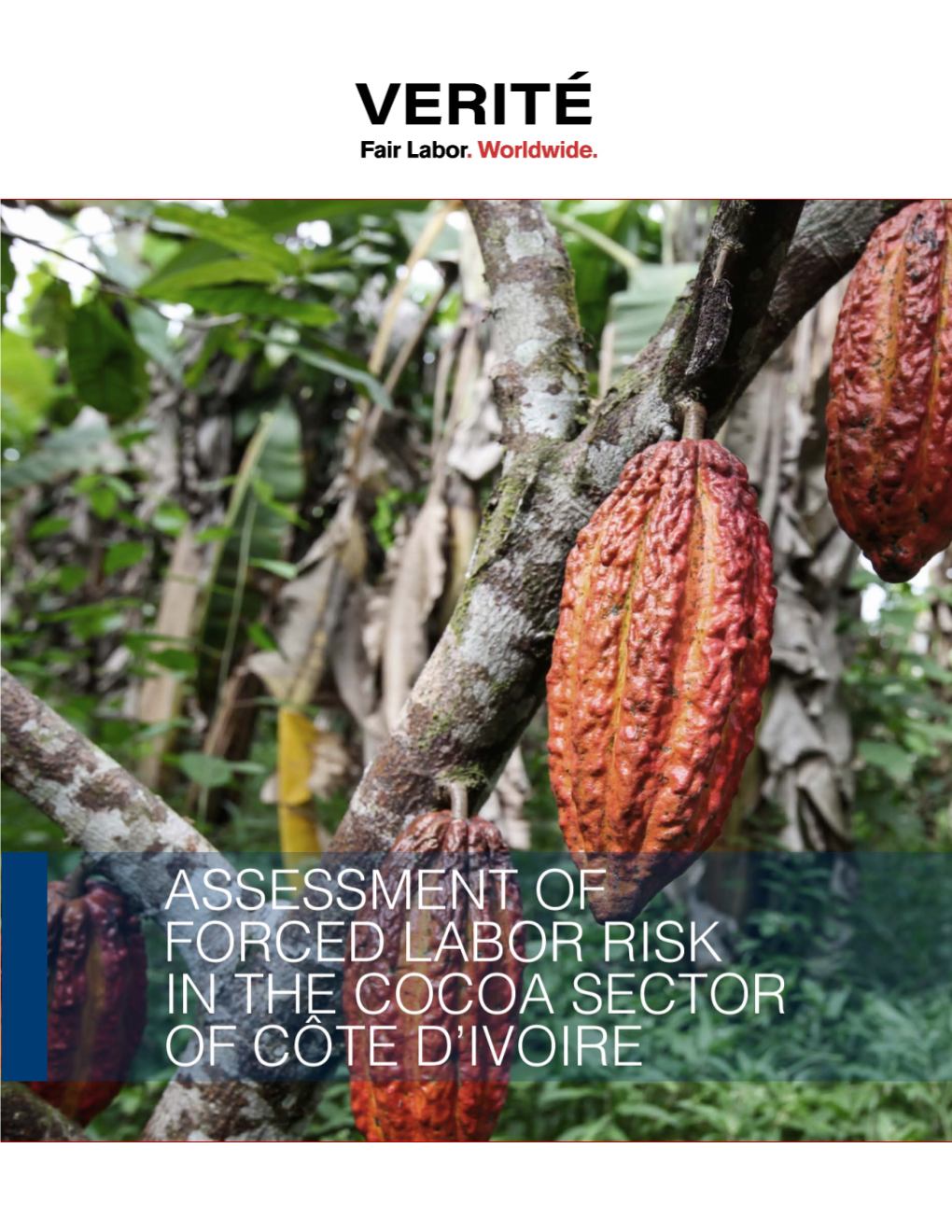 Assessment of Forced Labor Risk in the Cocoa Sector of Côte D'ivoire