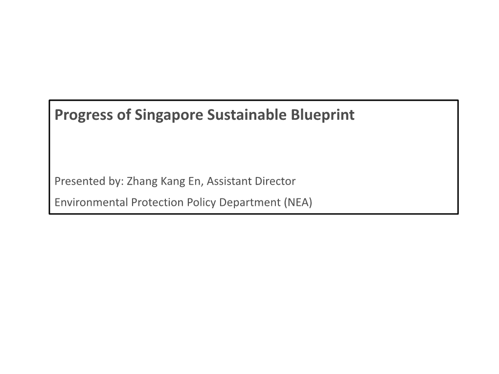 Progress of Singapore Sustainable Blueprint