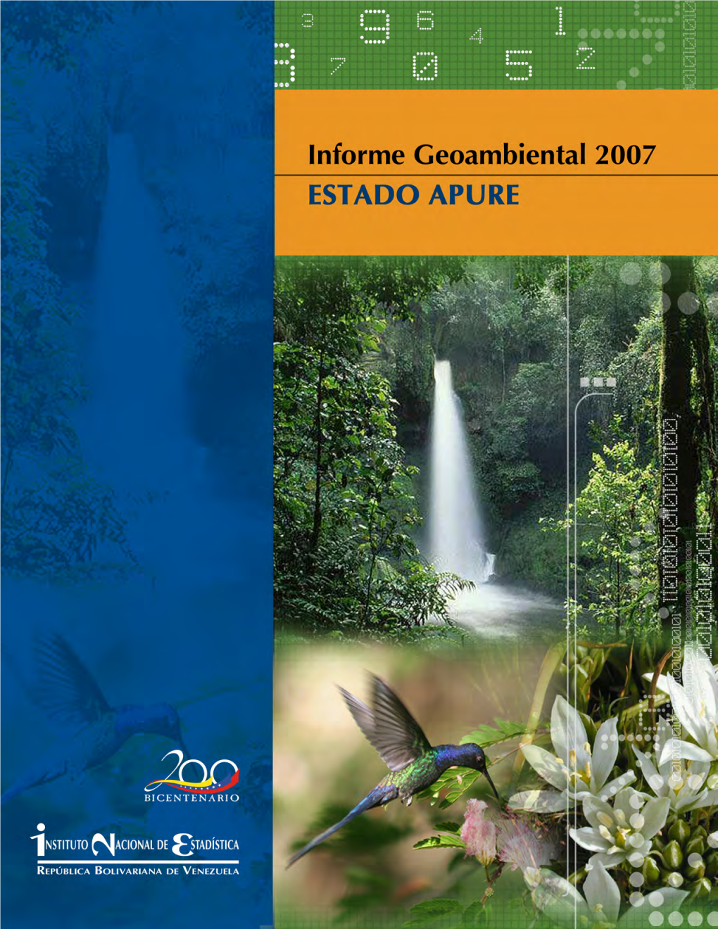 Informe Geoambiental Apure.Pdf
