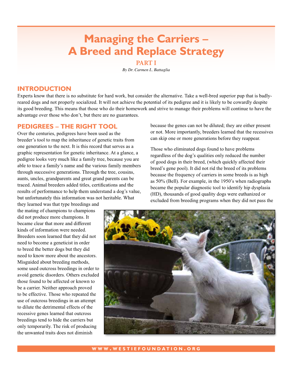 Managing the Carriers – a Breed and Replace Strategy PART I by Dr