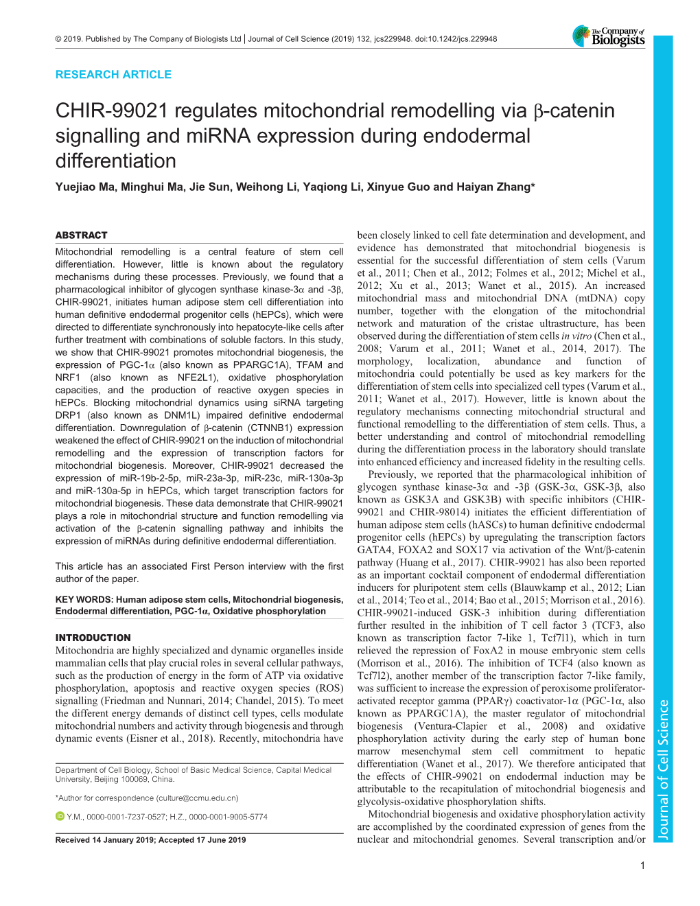 CHIR-99021 Regulates Mitochondrial Remodelling Via Β-Catenin Signalling