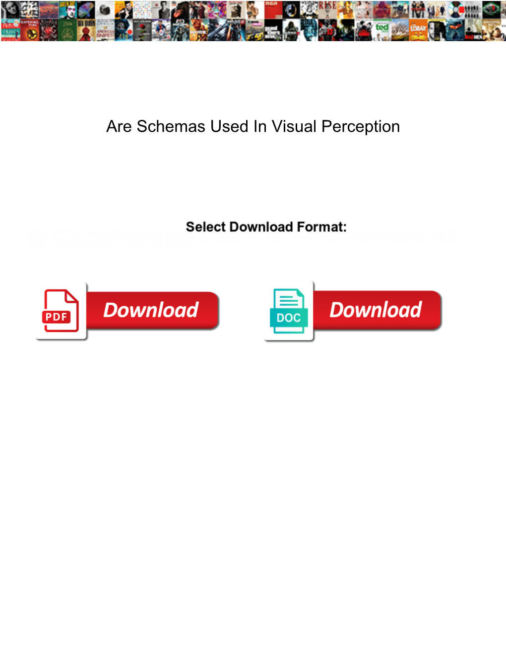 Are Schemas Used in Visual Perception