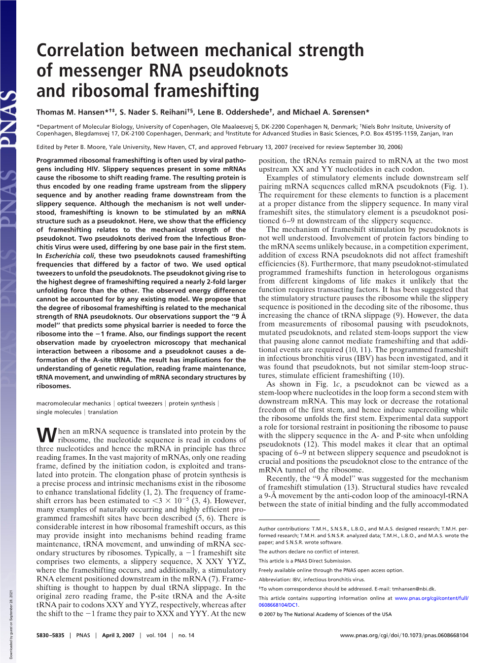 Correlation Between Mechanical Strength of Messenger RNA Pseudoknots and Ribosomal Frameshifting