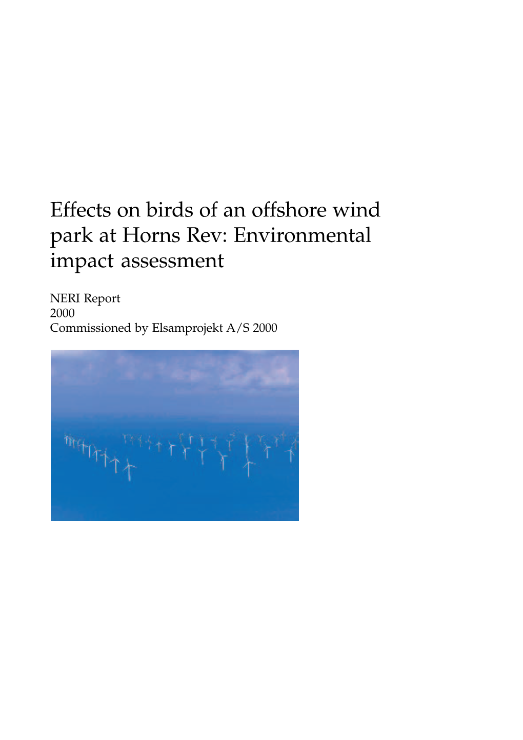 Effecst on Birds of an Offshore Wind Park at Horns
