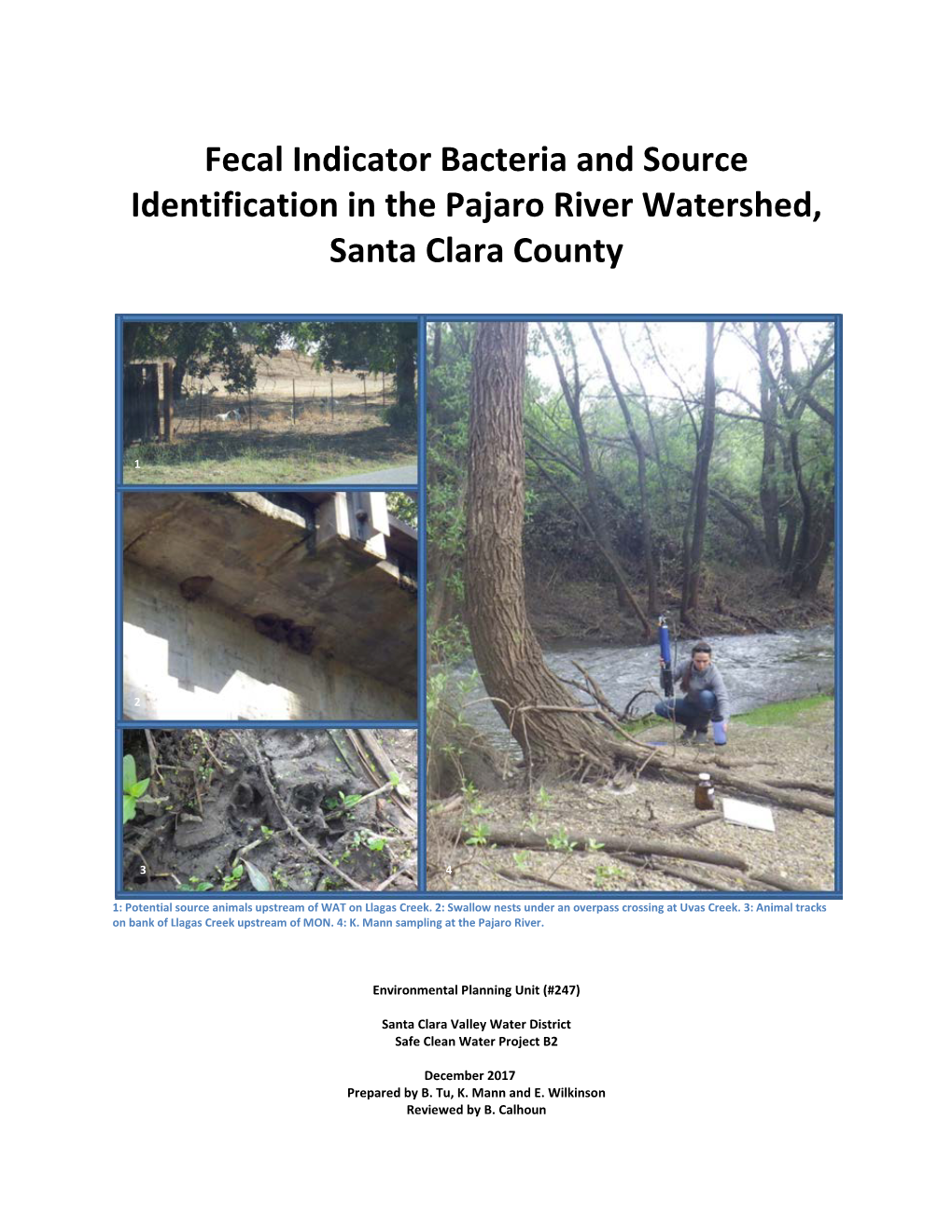 Fecal Indicator Bacteria and Source Identification in the Pajaro River Watershed, Santa Clara County