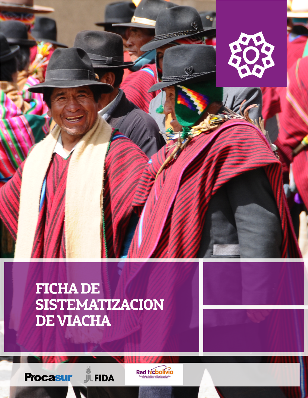 Ficha De Sistematizacion De Viacha