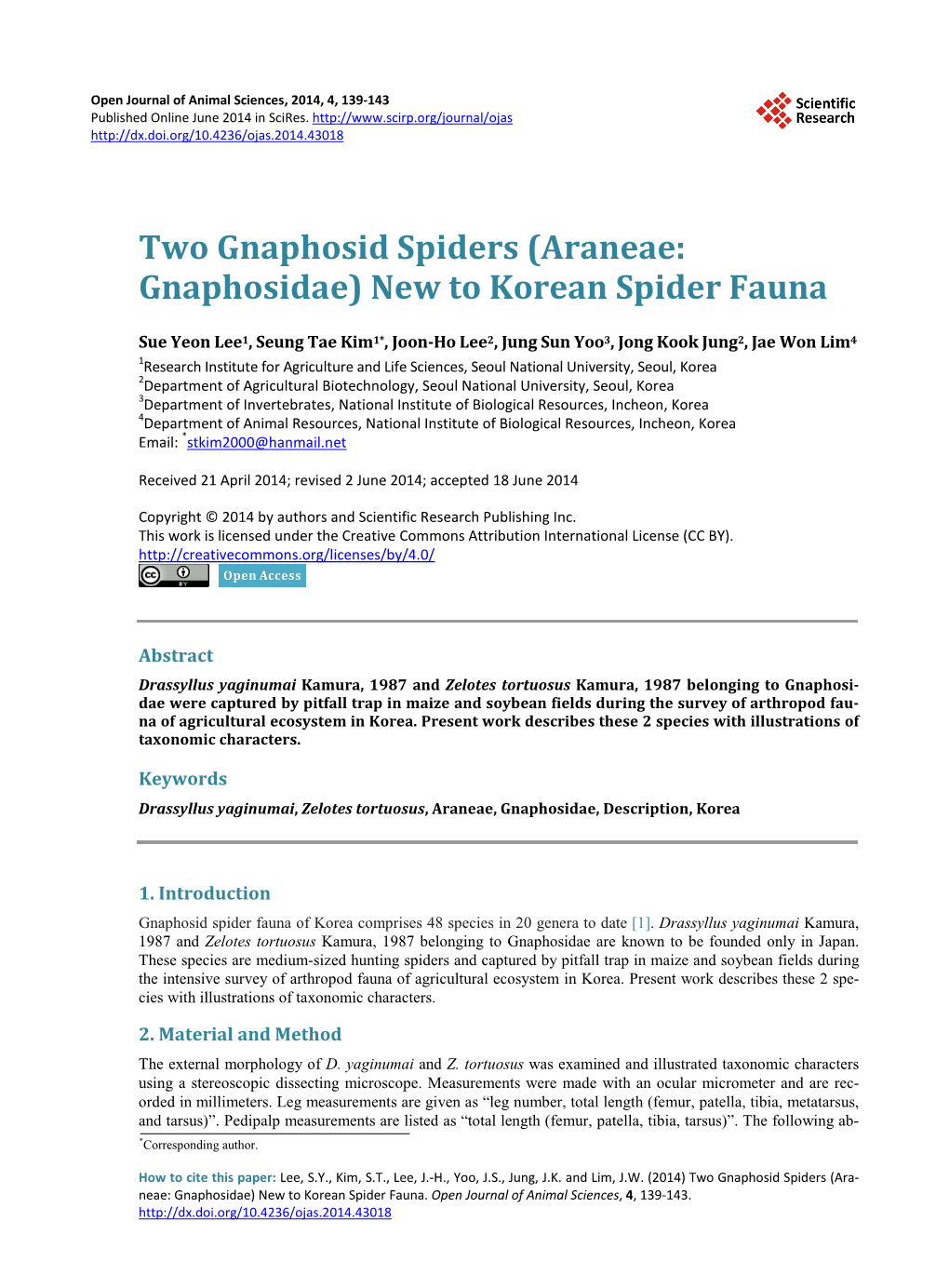 Araneae: Gnaphosidae) New to Korean Spider Fauna