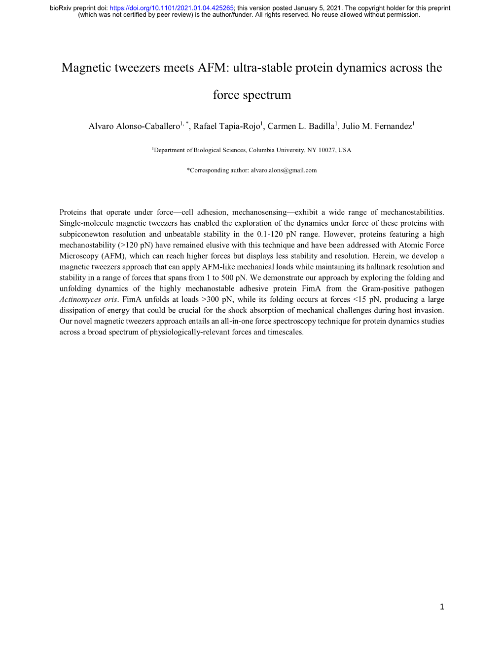 Magnetic Tweezers Meets AFM: Ultra-Stable Protein Dynamics Across The