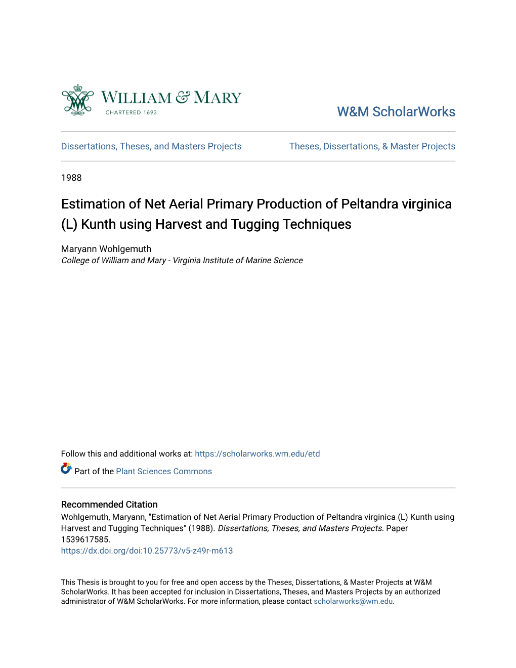 Estimation of Net Aerial Primary Production of Peltandra Virginica (L) Kunth Using Harvest and Tugging Techniques