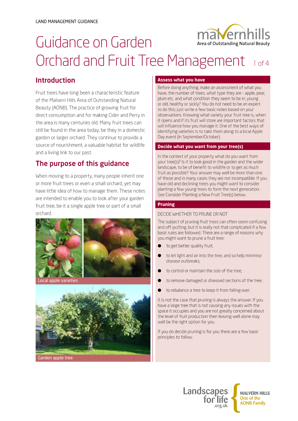 Download the Guidance on Garden Orchard and Fruit Tree Management