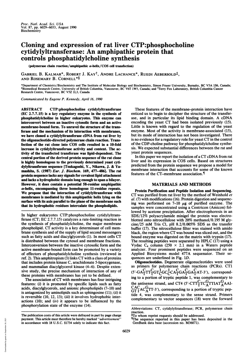 Cloning and Expression of Rat Liver CTP:Phosphocholine Controls