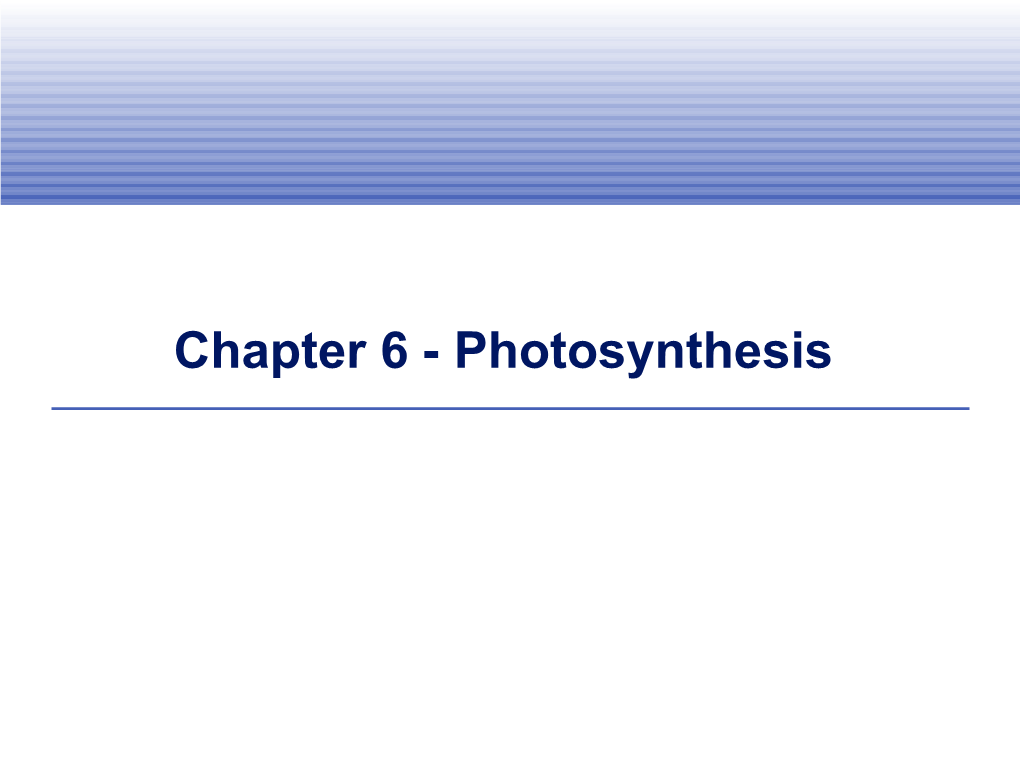 Chapter 6 - Photosynthesis Sunlight As an Energy Source