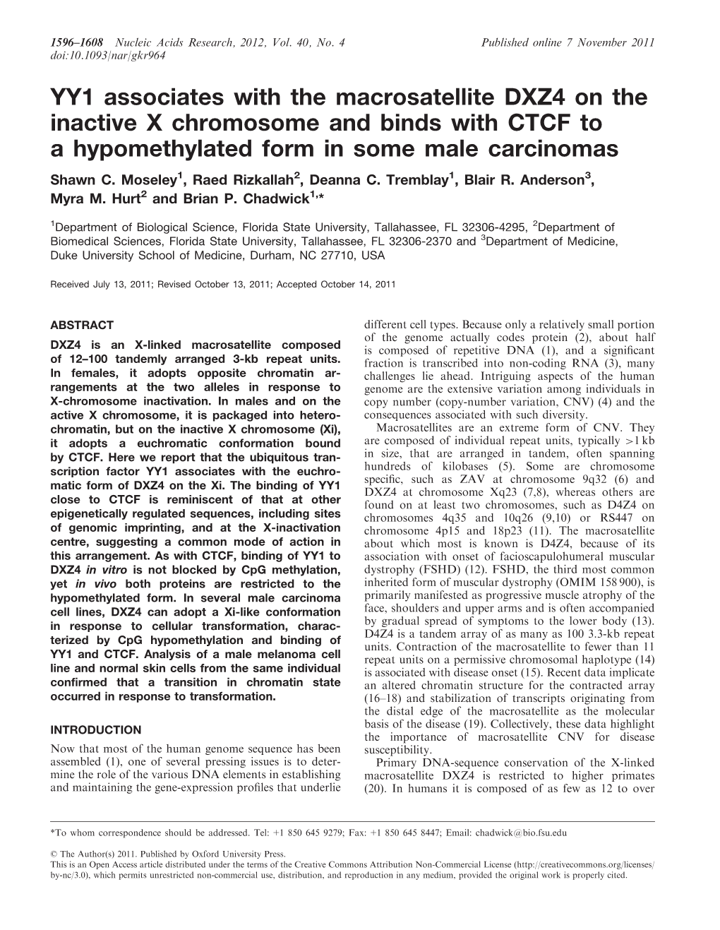 YY1 Associates with the Macrosatellite DXZ4 on the Inactive X Chromosome and Binds with CTCF to a Hypomethylated Form in Some Male Carcinomas Shawn C