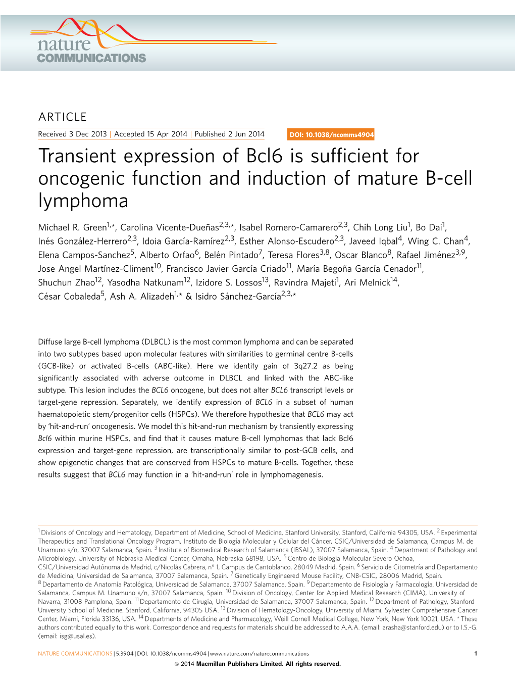 Transient Expression of Bcl6 Is Sufficient for Oncogenic