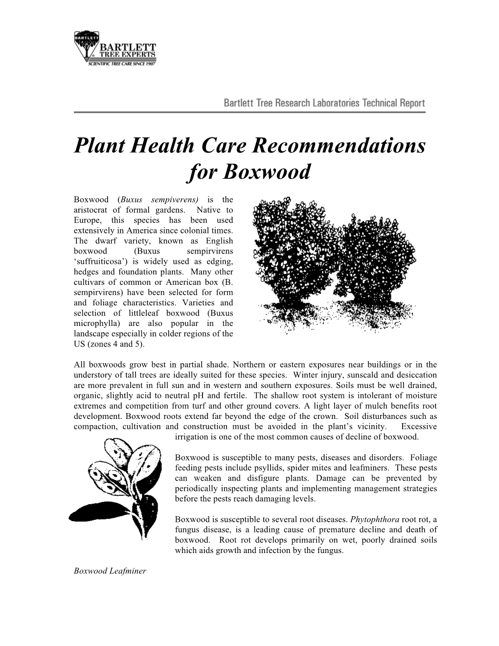 Plant Health Care Recommendations for Boxwood