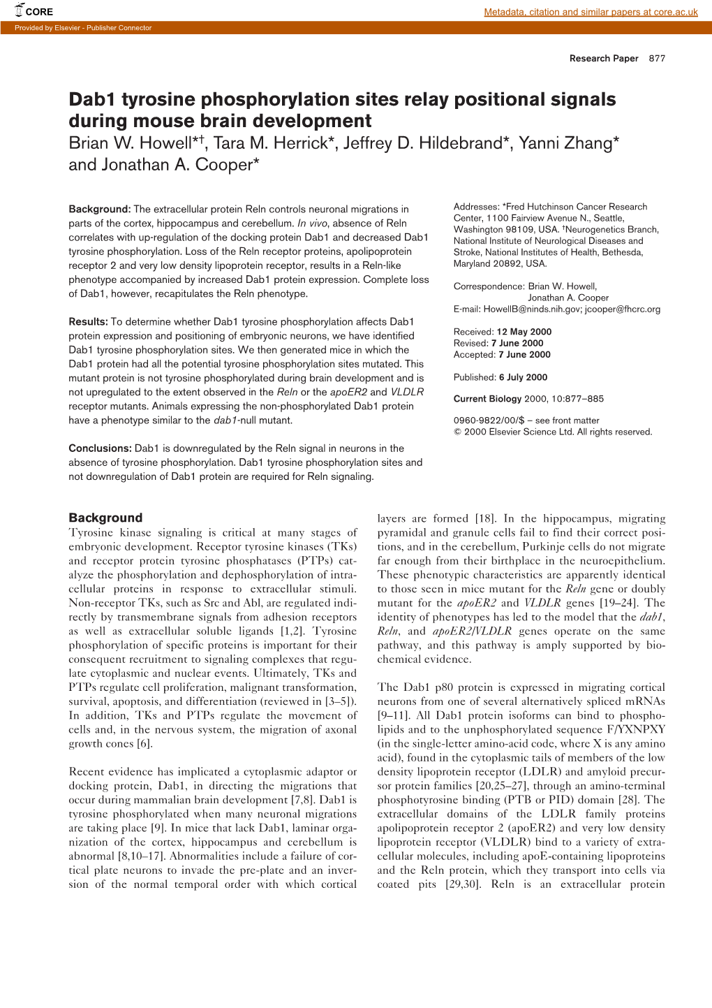 Dab1 Tyrosine Phosphorylation Sites Relay Positional Signals During Mouse Brain Development Brian W