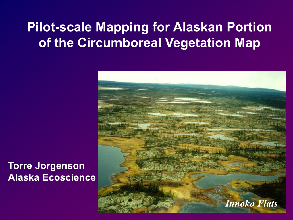 Pilot-Scale Mapping for Alaskan Portion of the Circumboreal Vegetation Map