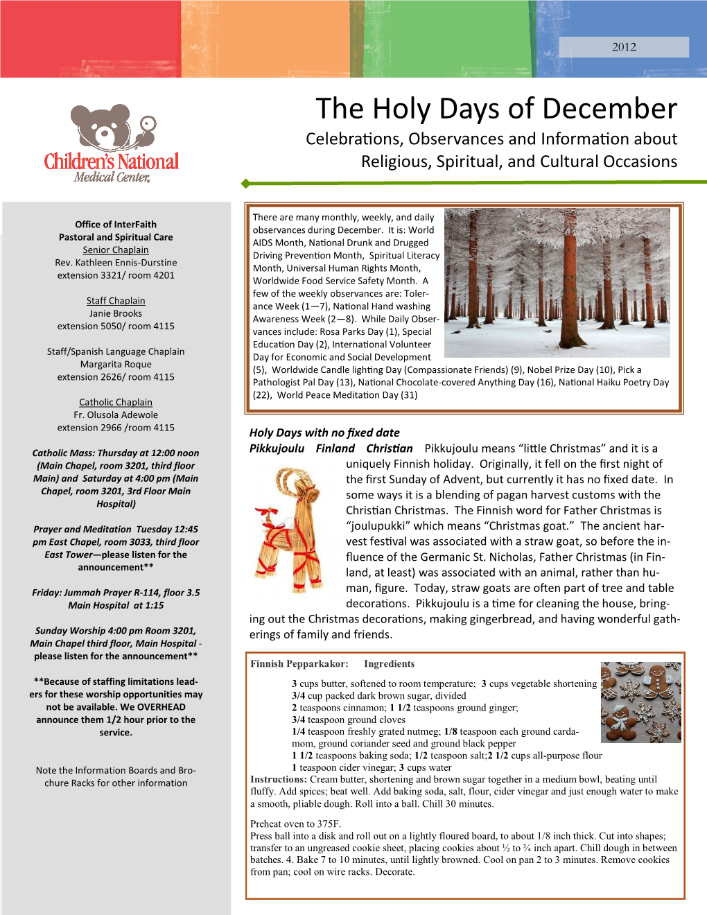 Newsletter Template 2011