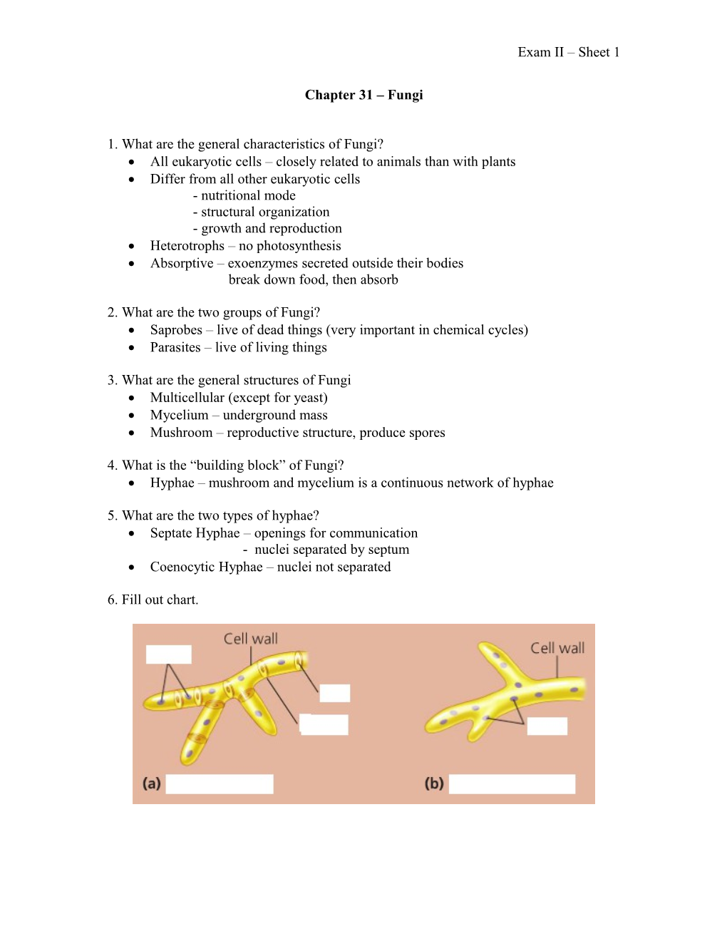 Chapter 29 Plant Diversity I: How Plants Colonized Land