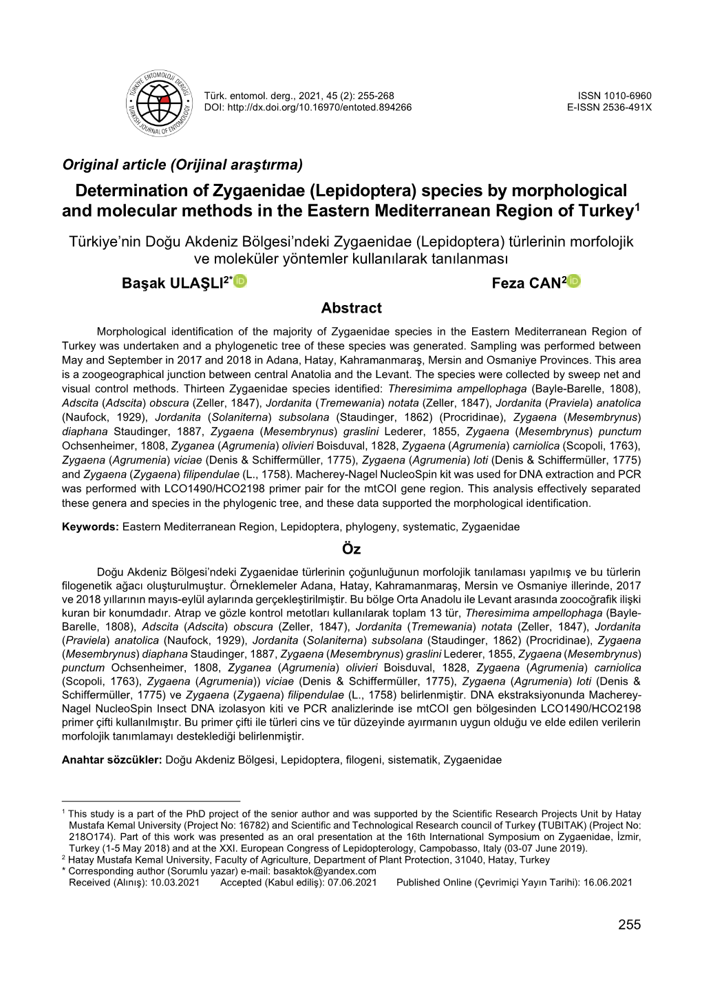 (Lepidoptera) Species by Morphological and Molecular Methods in the Eastern Mediterranean Region Of