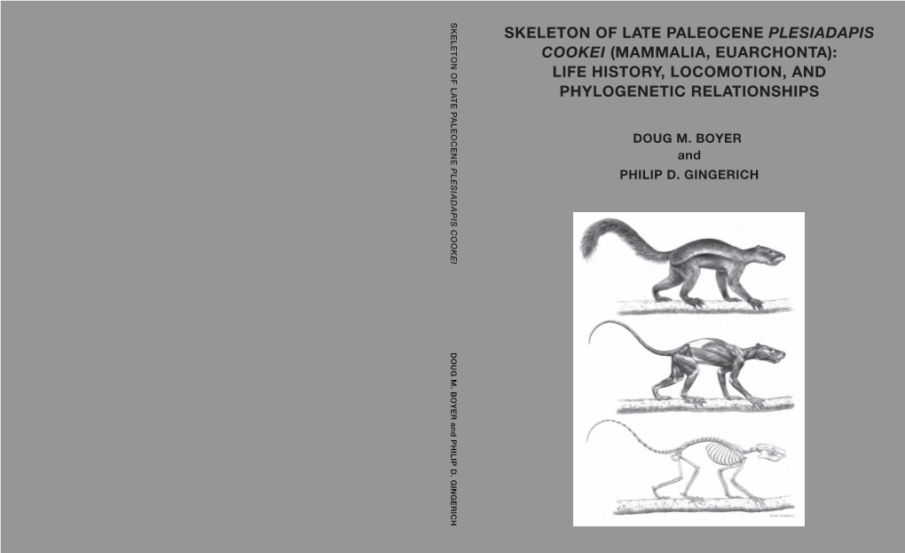 Skeleton of Late Paleocene Plesiadapis Cookei