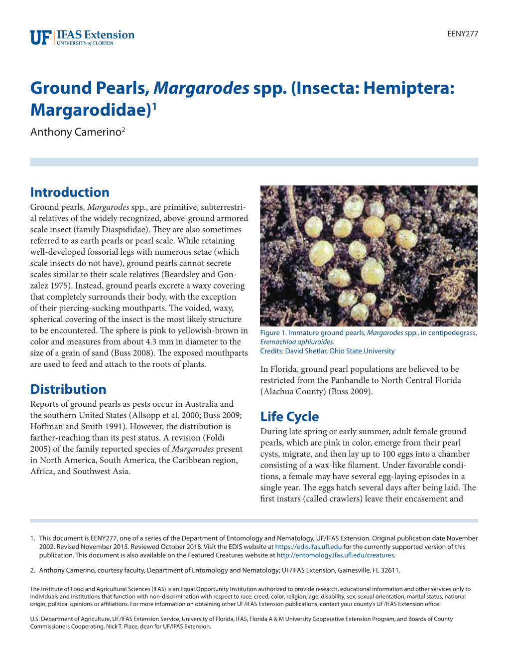 Ground Pearls, Margarodes Spp. (Insecta: Hemiptera: Margarodidae)1 Anthony Camerino2