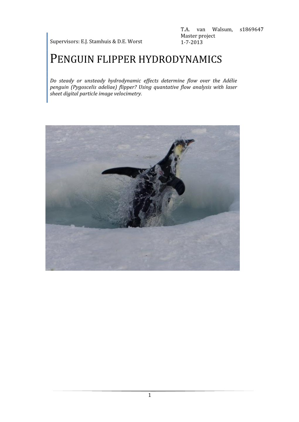 Penguin Flipper Hydrodynamics