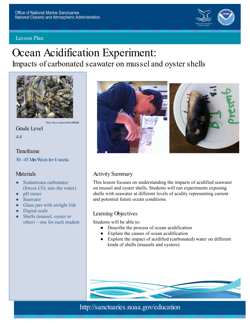 Ocean Acidification Experiment: Impacts of Carbonated Seawater on Mussel and Oyster Shells