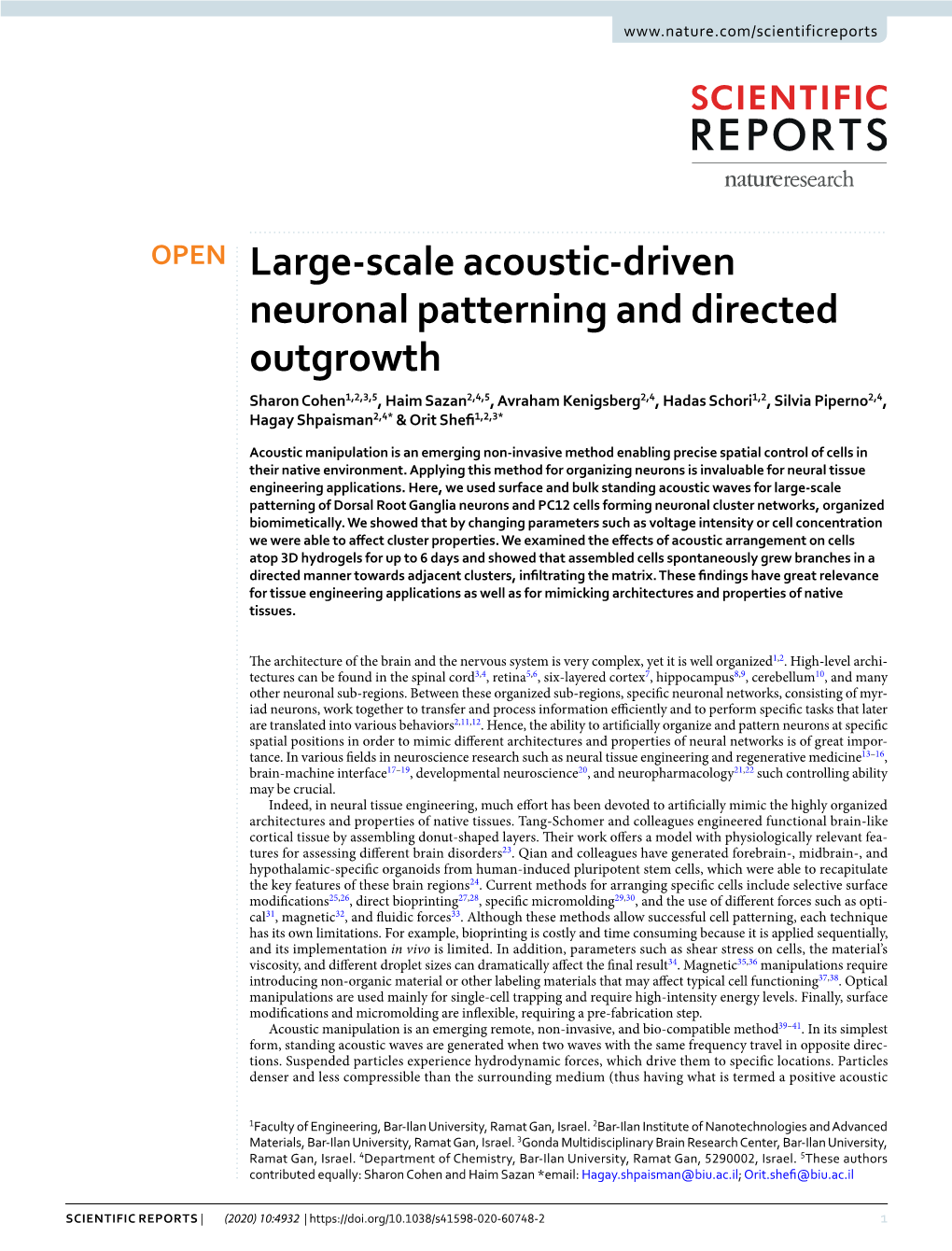 Large-Scale Acoustic-Driven Neuronal Patterning and Directed Outgrowth