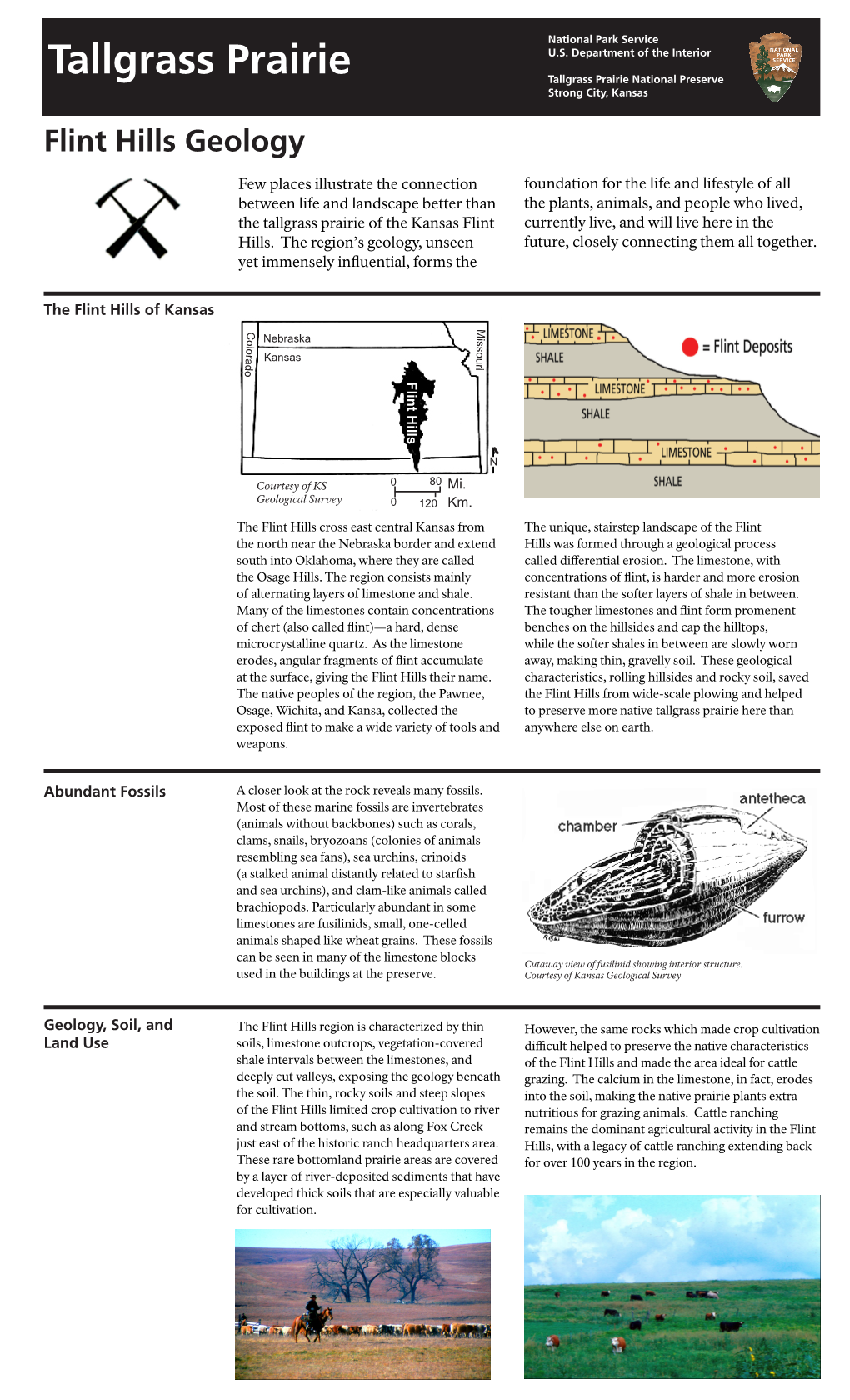 Flint Hills Geology Tallgrass Prairie