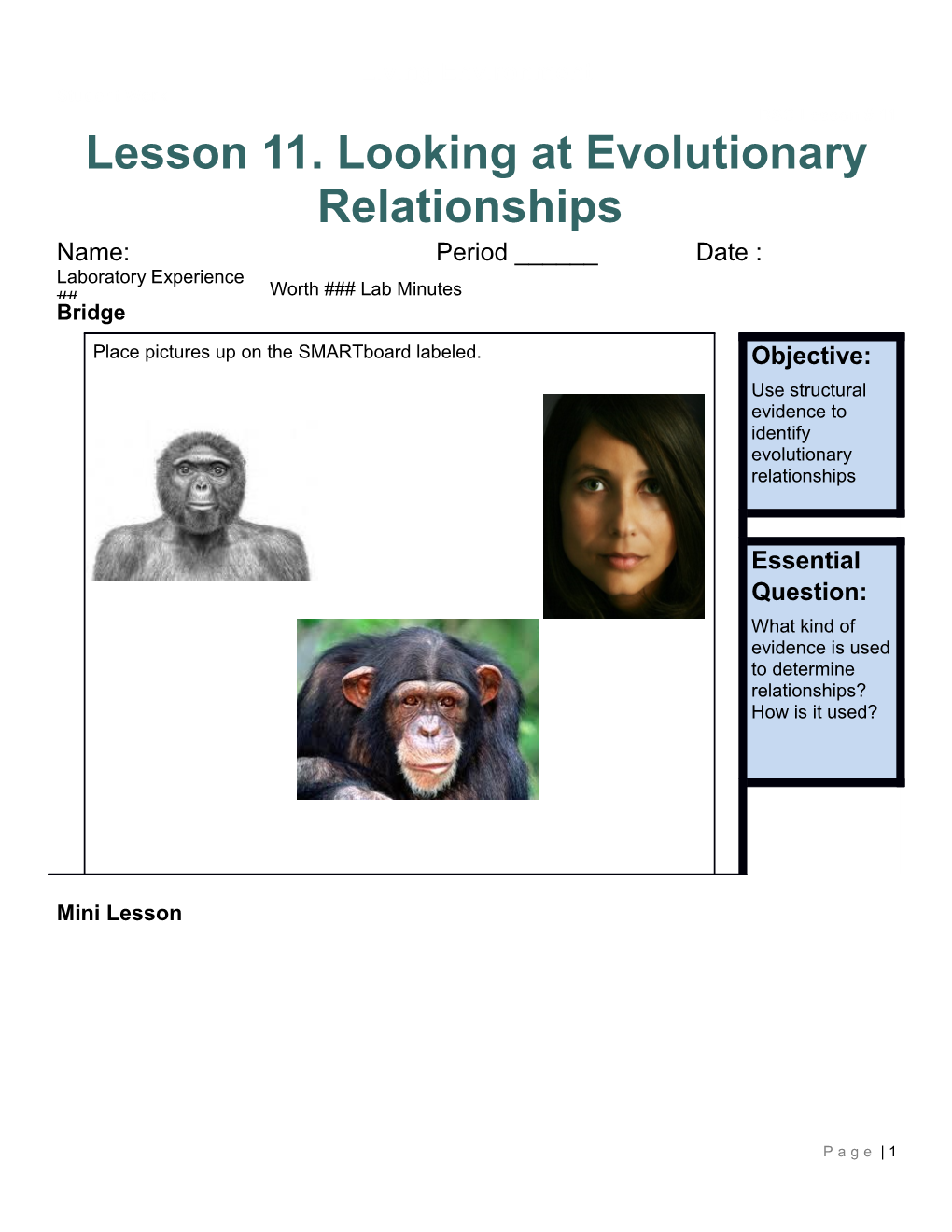 Lesson 11. Looking at Evolutionary Relationships