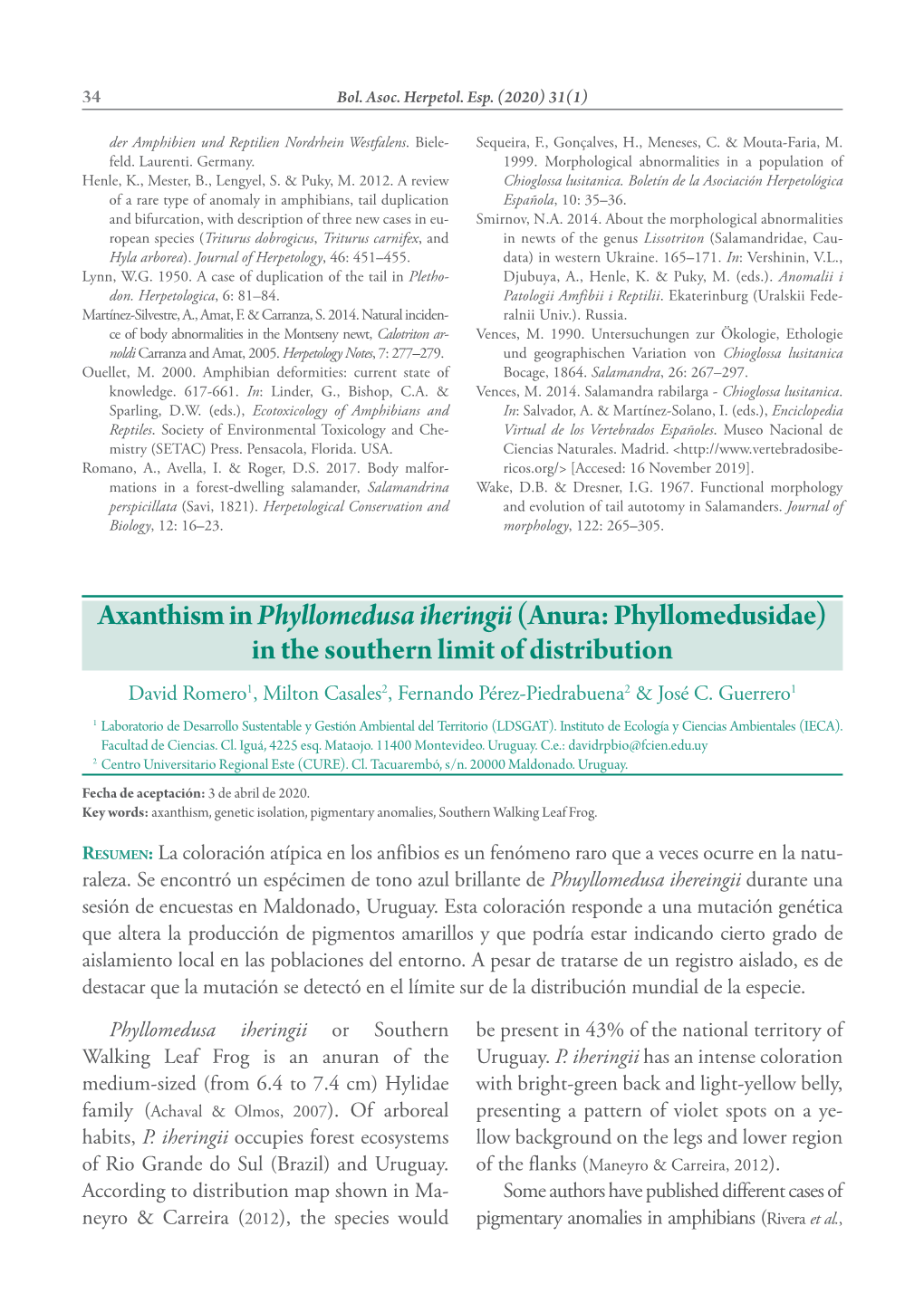 Axanthism in Phyllomedusa Iheringii(Anura: Phyllomedusidae