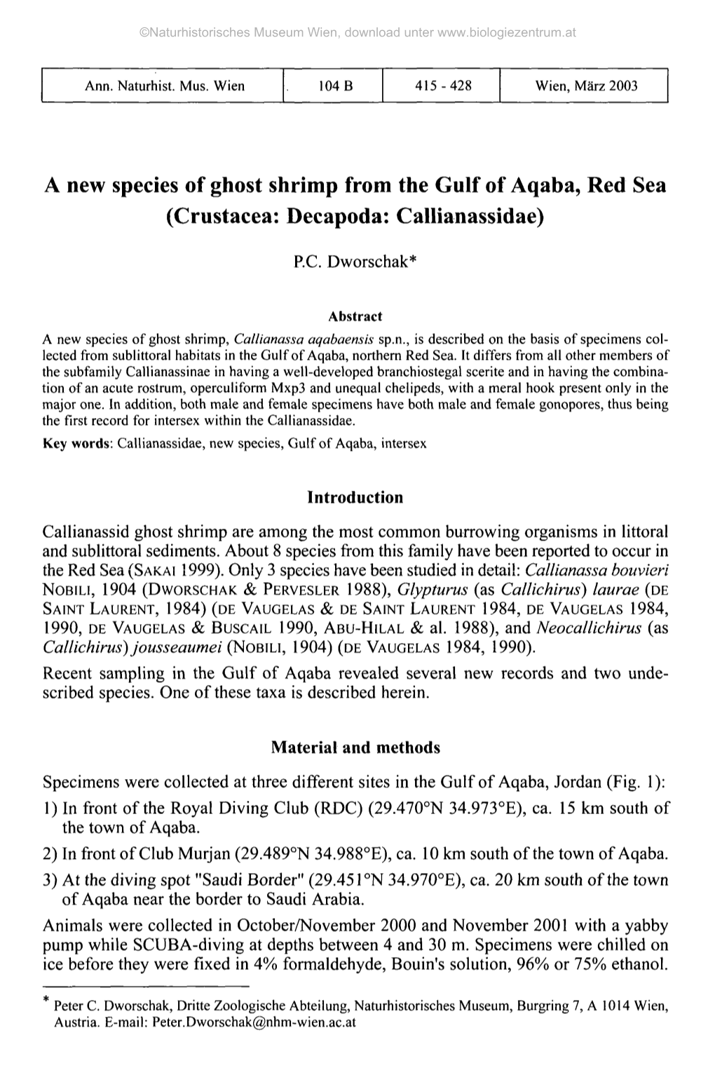 A New Species of Ghost Shrimp from the Gulf of Aqaba, Red Sea (Crustacea: Decapoda: Callianassidae)