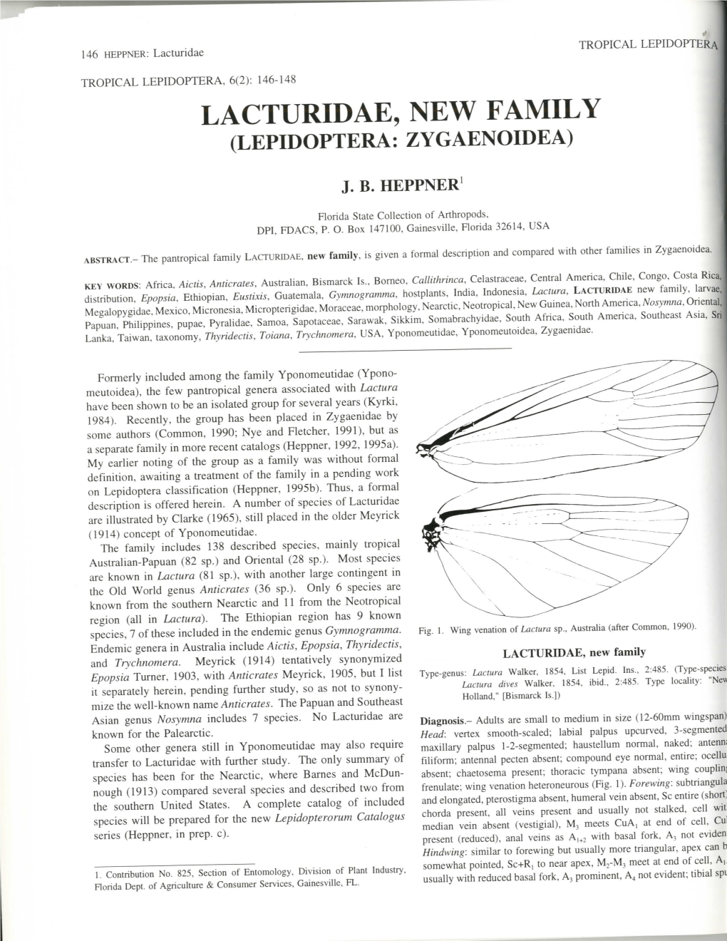 Lacturidae, New Family (Lepidoptera: Zygaenoidea)