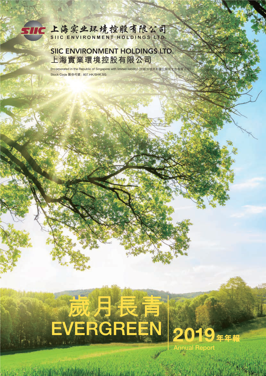 歲月長青 EVERGREEN 2019 年年報 Annual Report